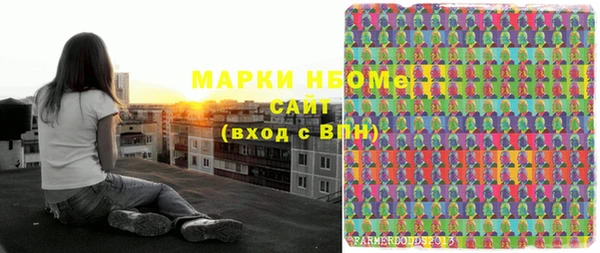 хмурый Богородицк