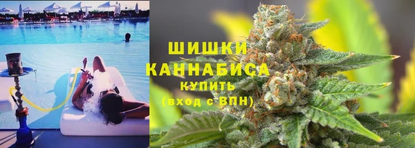 сатива Богданович