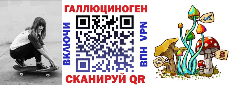 Галлюциногенные грибы Psilocybine cubensis  Калуга 